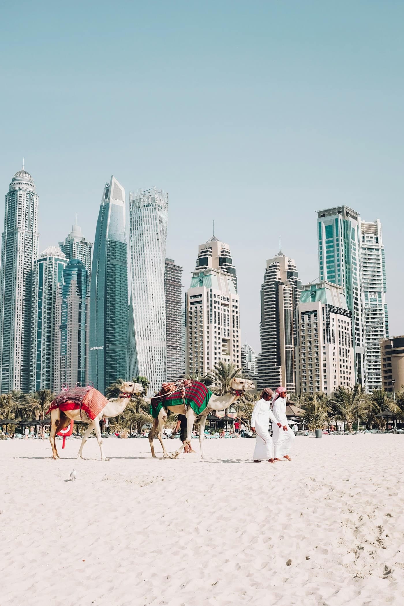 XLine Dubai Marina: World's Longest Urban Zipline